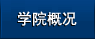 成人影视片